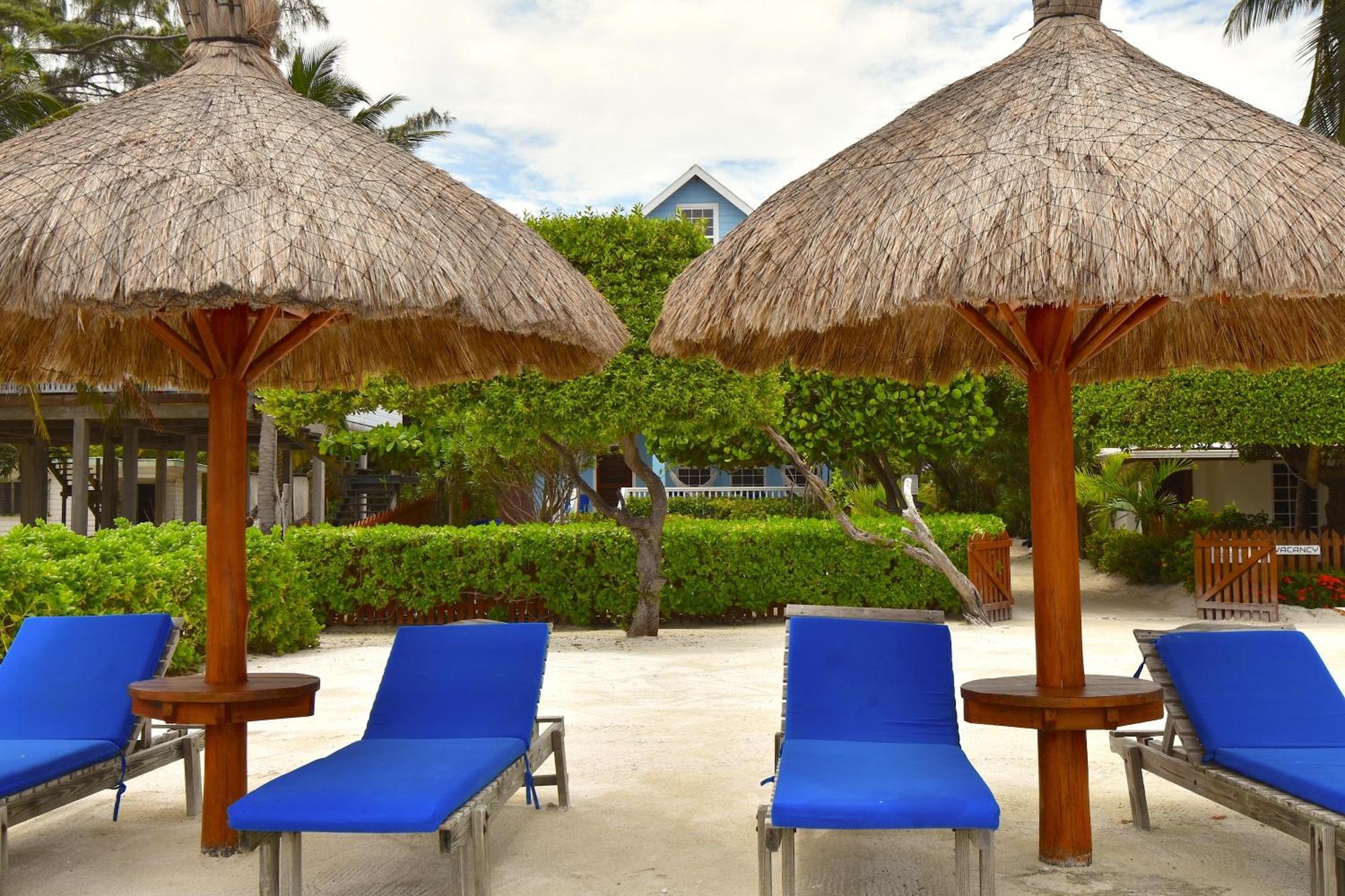 Palmetto Garden Cottage Caye Caulker Dış mekan fotoğraf