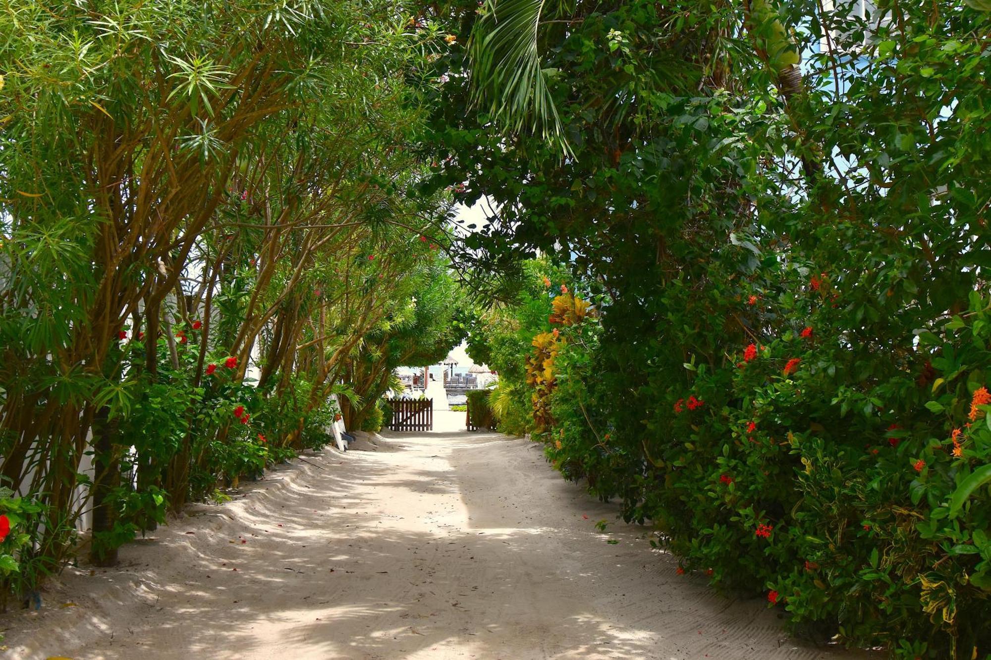 Palmetto Garden Cottage Caye Caulker Dış mekan fotoğraf