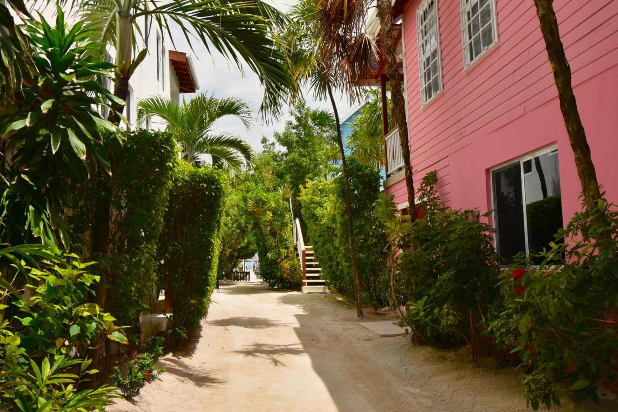 Palmetto Garden Cottage Caye Caulker Dış mekan fotoğraf